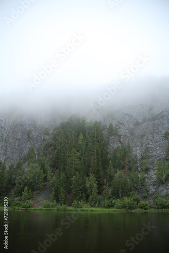 forest and rocks in the morning mist