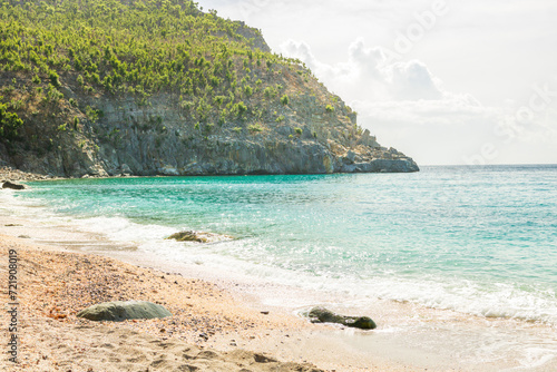 Fototapeta Naklejka Na Ścianę i Meble -  Peaceful beach in Saint Barthélemy (St. Barts, St. Barth) Caribbean
