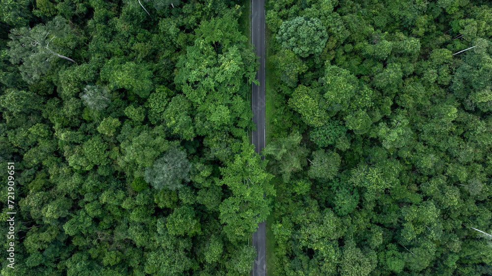 Aerial top view asphalt road in  green forest tree with globe planet, Tropical jungle forest green globe planet in your hand, Save Earth, Forest texture and background, Environment Concept.