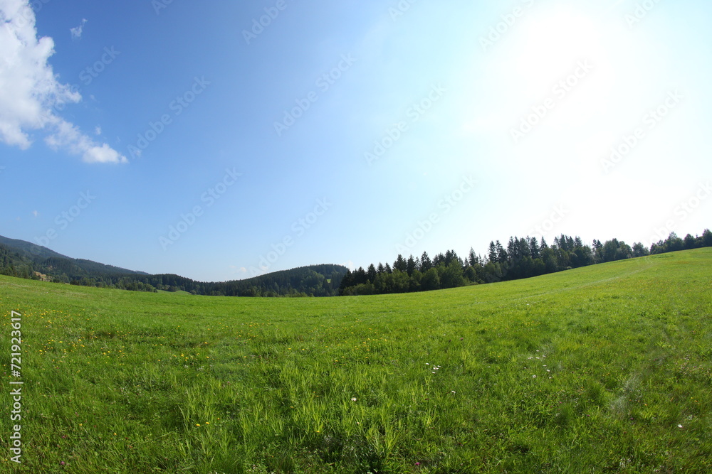 Green sunny landscapes in Czech republic