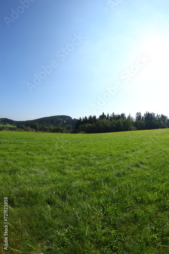 Green sunny landscapes in Czech republic