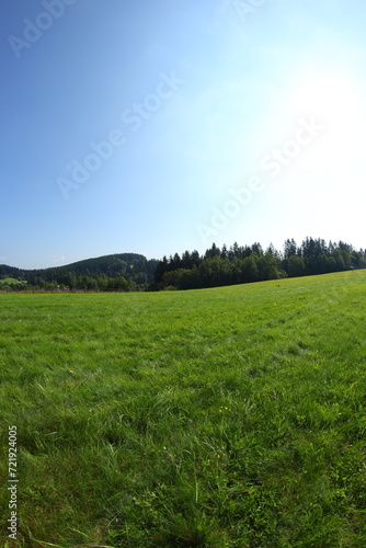 Green sunny landscapes in Czech republic