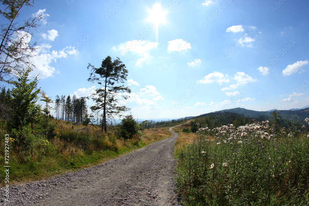 Beskydy mountains in czech republic in summer
