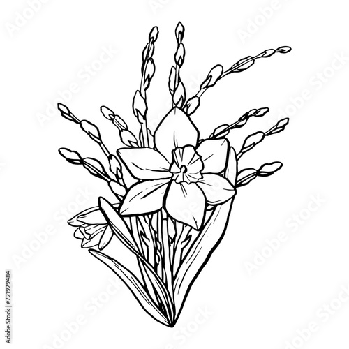 Black contour linear silhouette daffodil and willow branches isolated on white background. Vector simple flat graphic illustration flower. A simple line hand drawing plants for the design