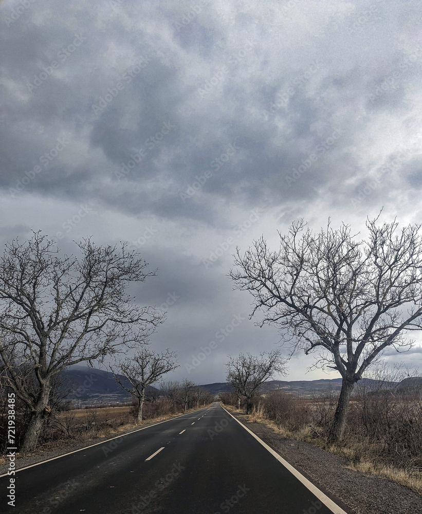 Fototapeta premium Scenic country road highway in the autumn