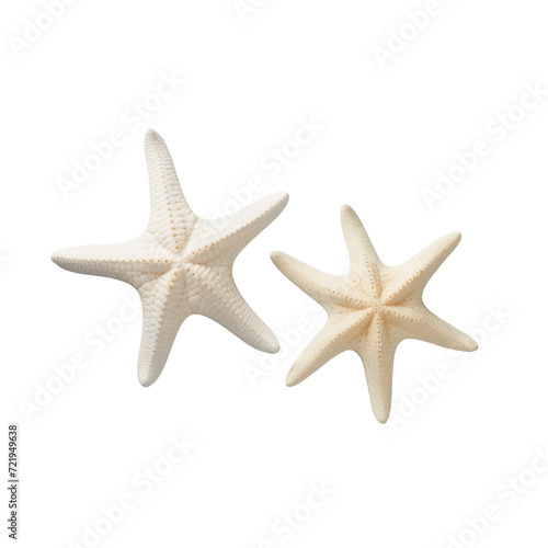 two different types of white starfish isolated over a transparent background