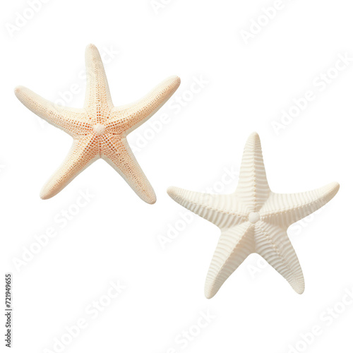 two different types of white starfish isolated over a transparent background