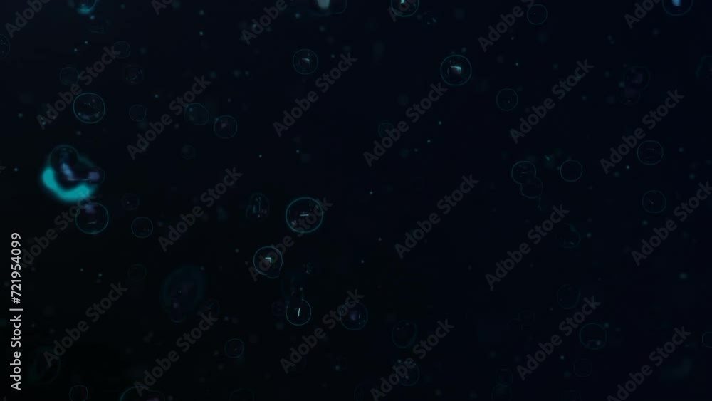 rain drops on the window rain drops on the window
