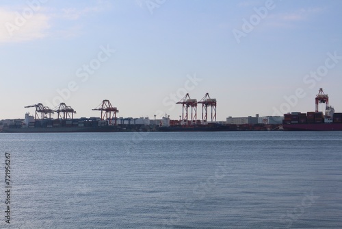 Photography Gantry cranes and cargo ships at Oi Container Terminal in Tokyo, Japan