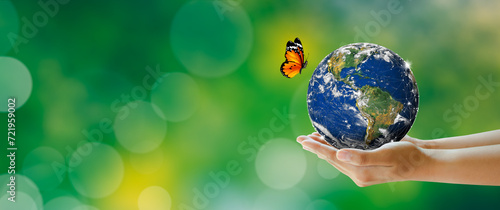 Fototapeta Naklejka Na Ścianę i Meble -  Hand holding earth with butterfly over green blur background. Saving Planet, Protect green nature and ecology, Sustainable lifestyle. World Environment and Green concept. Elements furnished by NASA.