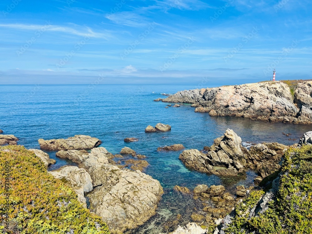 Blue ocean view, rocky coast with colorful plants, vivid ocean coast, natural colors, blue sky, summer