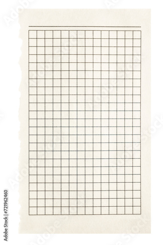 Sheet of white checkered paper torn from a notebook, isolated. Detached section of grid paper.