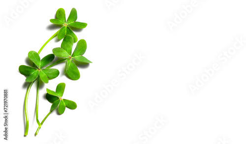 St. Patrick's Day shamrock leaves isolated on white background. Patrick Day pub party celebrating clover. Abstract Border art design backdrop. Widescreen clovers with copy space. Top view , flat lay 