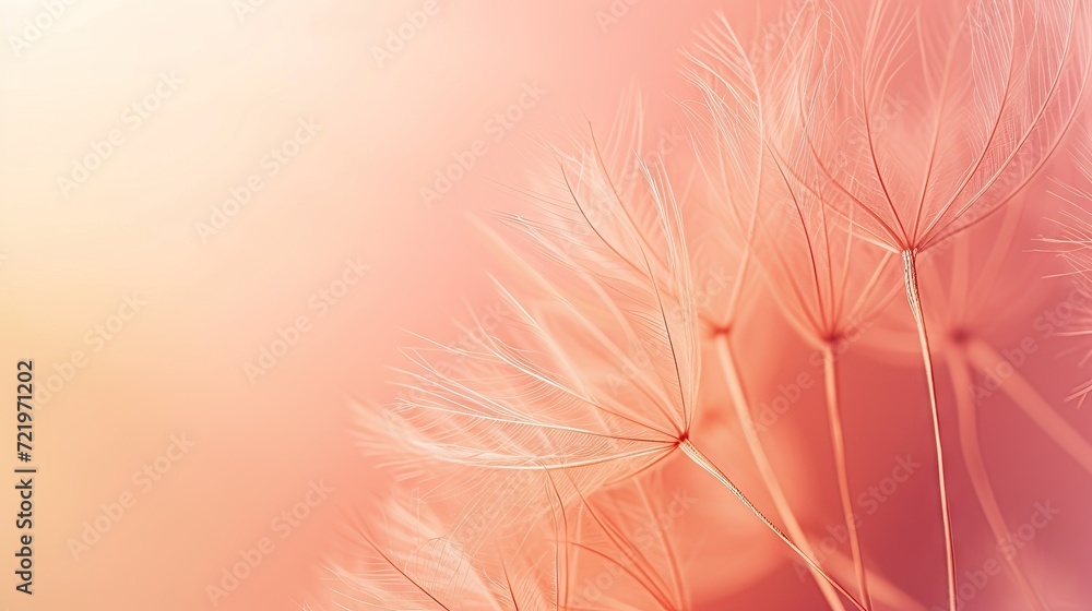 Soft abstract peach fuzz color gradient dandelion background - AI Generated Abstract Art