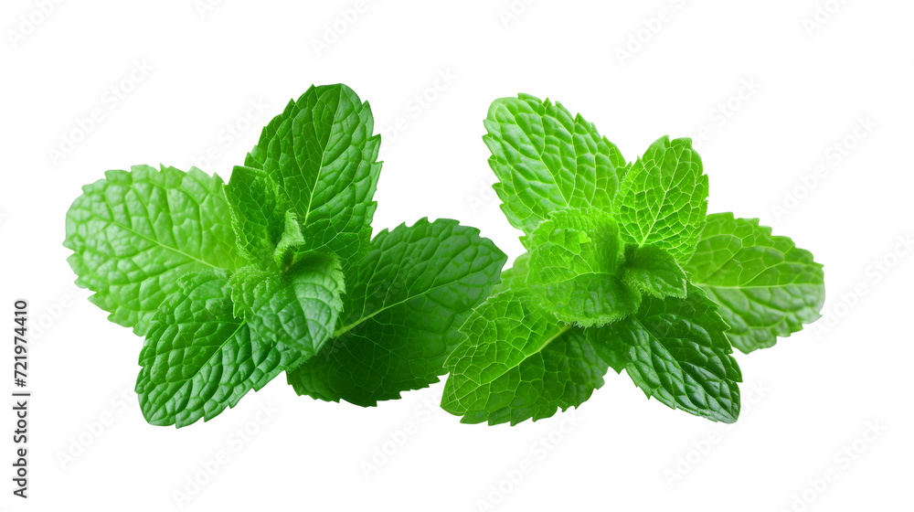 fresh mint leaves isolated on transparent background fresh mint leaves isolated on transparent background