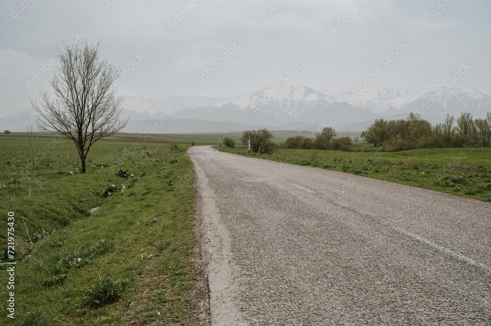 empty road in the middle of a green field against the background of mountains on a cloudy day in spring