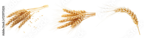 Delicious-looking_wheat