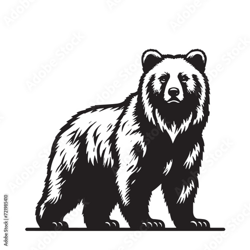 brown bear vector illustration, Standing bear Illustrations