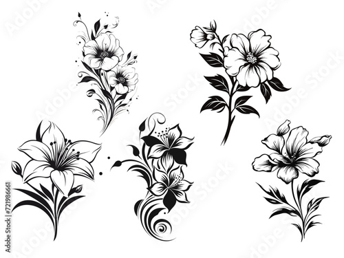 Set of beautiful minimalist flower illustration art.