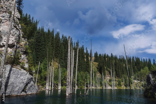 landscape with a beautiful lake with blue water and tree trunks of a sunken forest in summer. Kaindy Lake in the Tien Shan mountains in Kazakhstan near Almaty