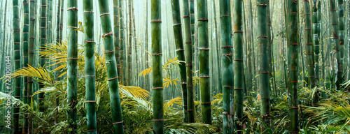 Zielony bambus, tapeta