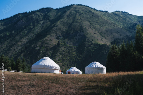 traditional houses of Asian nomads yurts in a field near a spruce forest in summer in the Tien Shan mountains in Kazakhstan