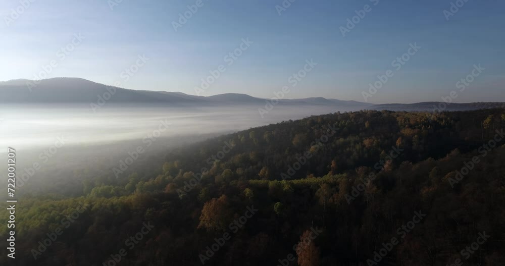 Fog covered autumn golden forest with red and yellow foliage color in hill landscape and mountain background. Aerial high altitude wide view at autumn summer sunrise season morning Fog covered autumn golden forest with red and yellow foliage color in hill landscape and mountain background. Aerial high altitude wide view at autumn summer sunrise season morning