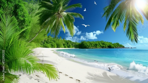 The beach is full of white sand and green palm trees with the blue ocean in the background