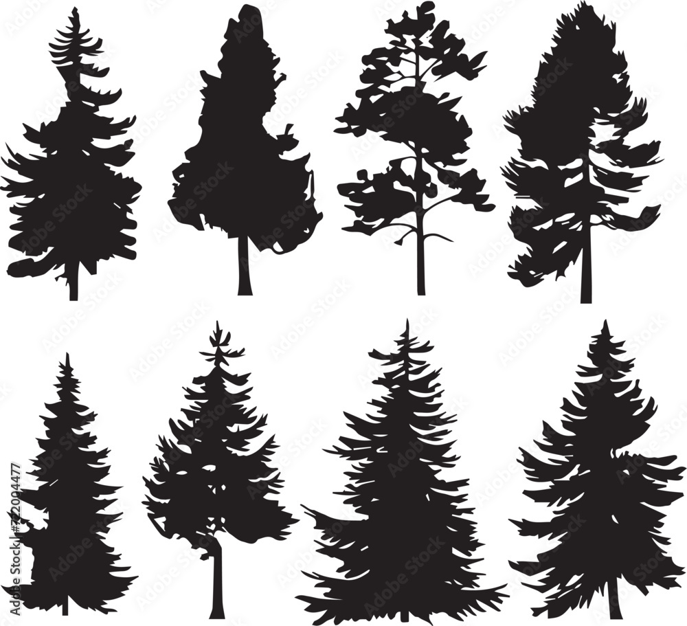 Obraz premium Set Trees. Hand drawn vector illustration