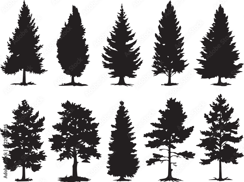 Fototapeta premium Set Trees. Hand drawn vector illustration