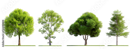 Evergreen trees on a grassy patch  isolated against a stark white background