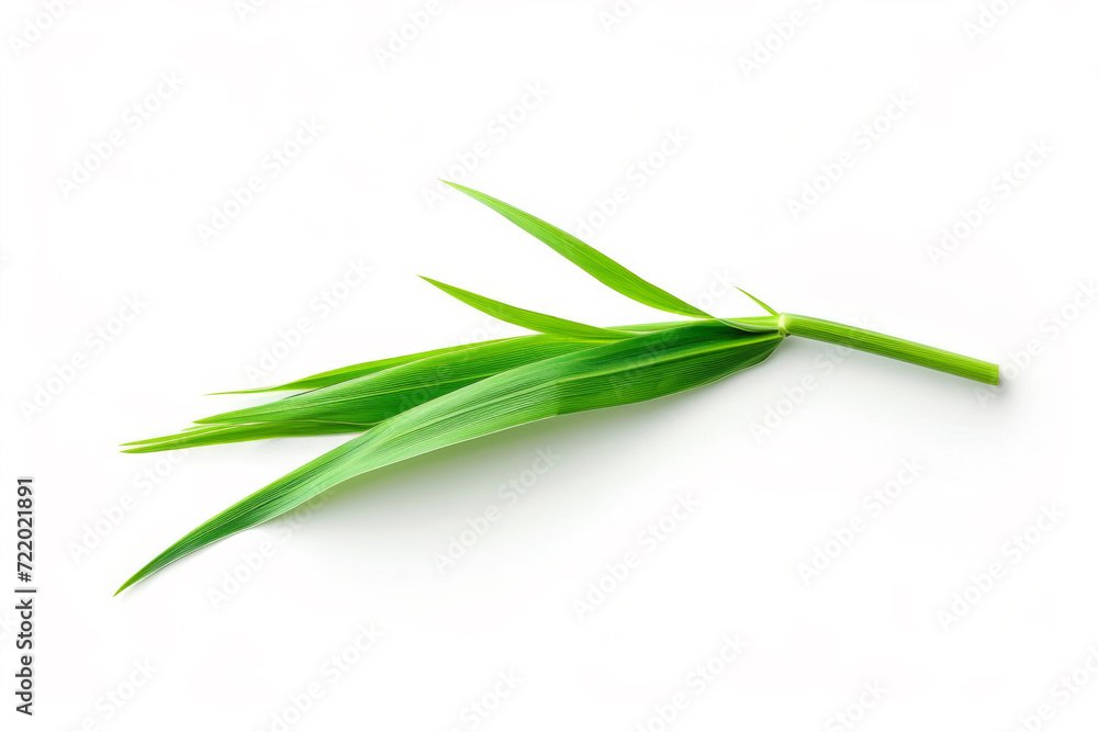  Blade of grass isolated on white background 