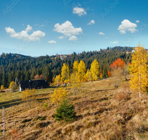 Autumn Carpathian village, Ukraine. photo