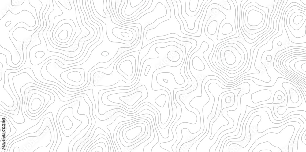 White wave paper curved reliefs abstract background black and white, Background of the topographic line map. Topographic map patterns abstract white topography vector background. 