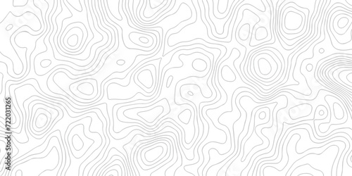 White wave paper curved reliefs abstract background black and white, Background of the topographic line map. Topographic map patterns abstract white topography vector background. 