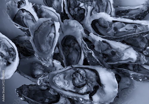 Fresh opened oysters in a plate, ready for served