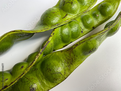 Parkia speciosa, or the bitter bean, isolated on white background photo