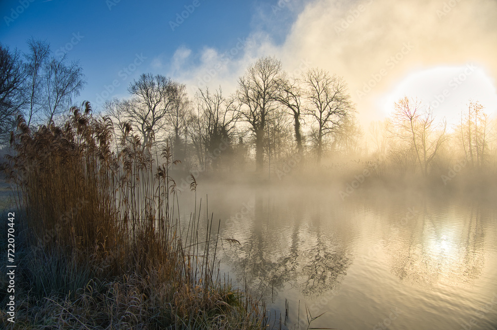 Nebeliger Morgen im Ried im Elsass Nebeliger Morgen im Ried im Elsass