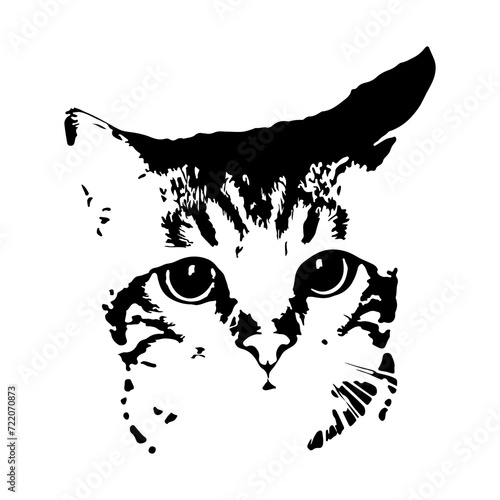 
Illustration showing
 muzzle of a black and white cat on a white background