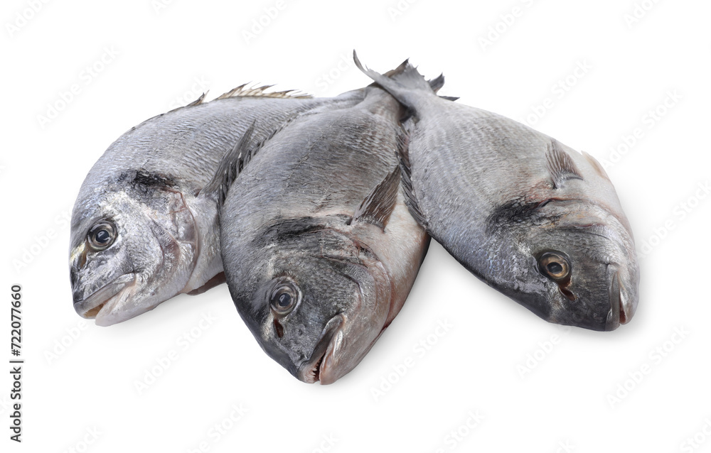 Fresh raw dorado fish isolated on white Fresh raw dorado fish isolated on white