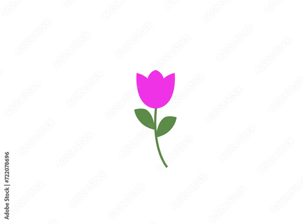 Pink tulip flowers on a white background