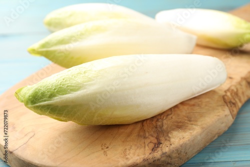 Fresh raw Belgian endives (chicory) on light blue wooden table, closeup