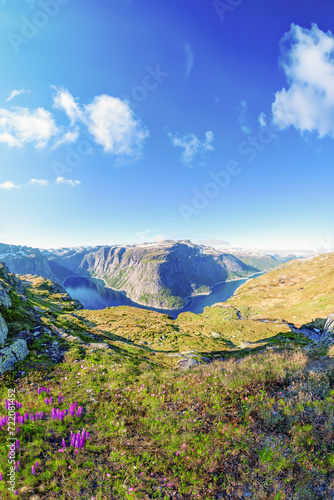 A view of the fjord on a summer day in the Hardanger fjord National park, Norway © Nick Brundle