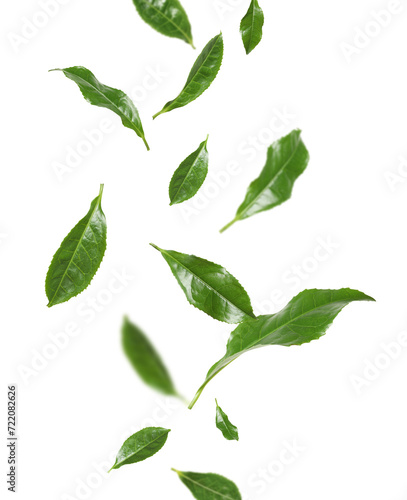 Fresh green tea leaves falling on white background © New Africa