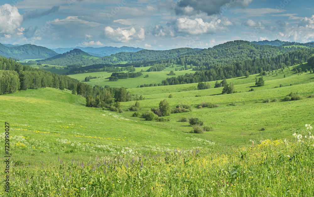 View of a summer day in the mountains, green meadows, mountain slopes and hills, countryside