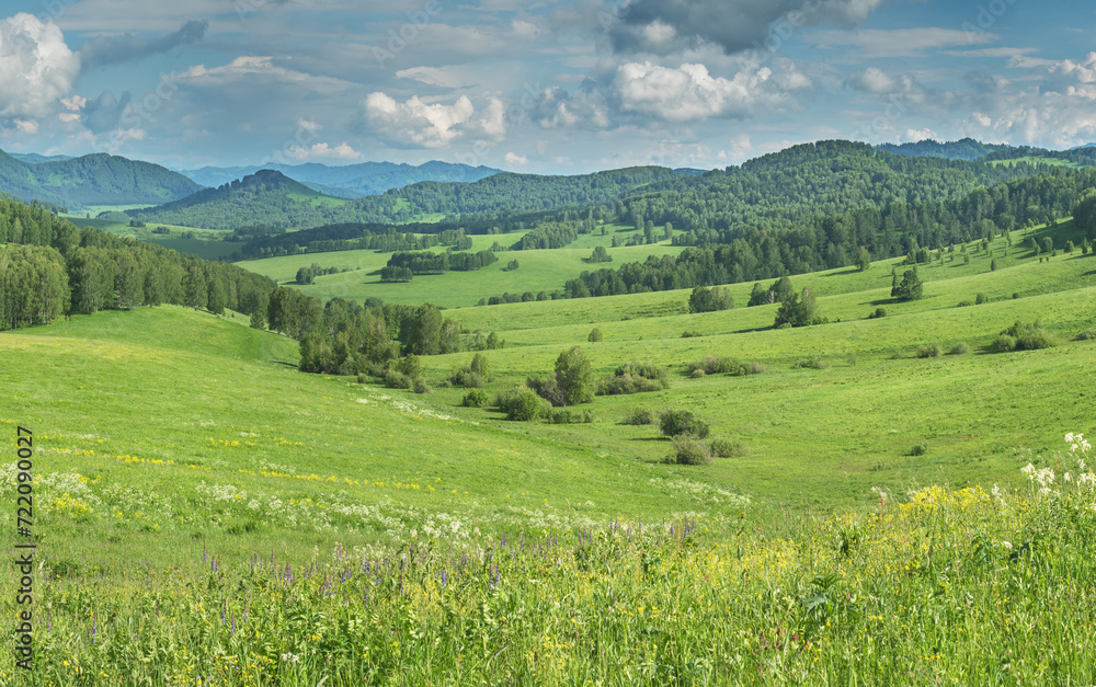 Obraz premium View of a summer day in the mountains, green meadows, mountain slopes and hills, countryside