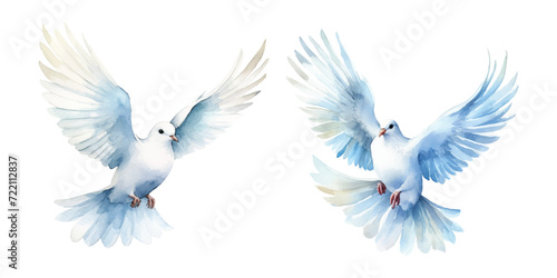 watercolor of dove bringing peace