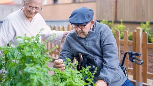 Old couple looking at a urban garden in a geriatric photo