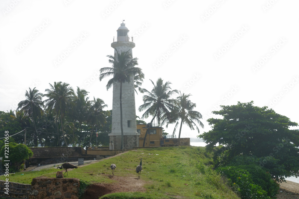 Obraz premium a lighthouse at Galle with wild peacocks