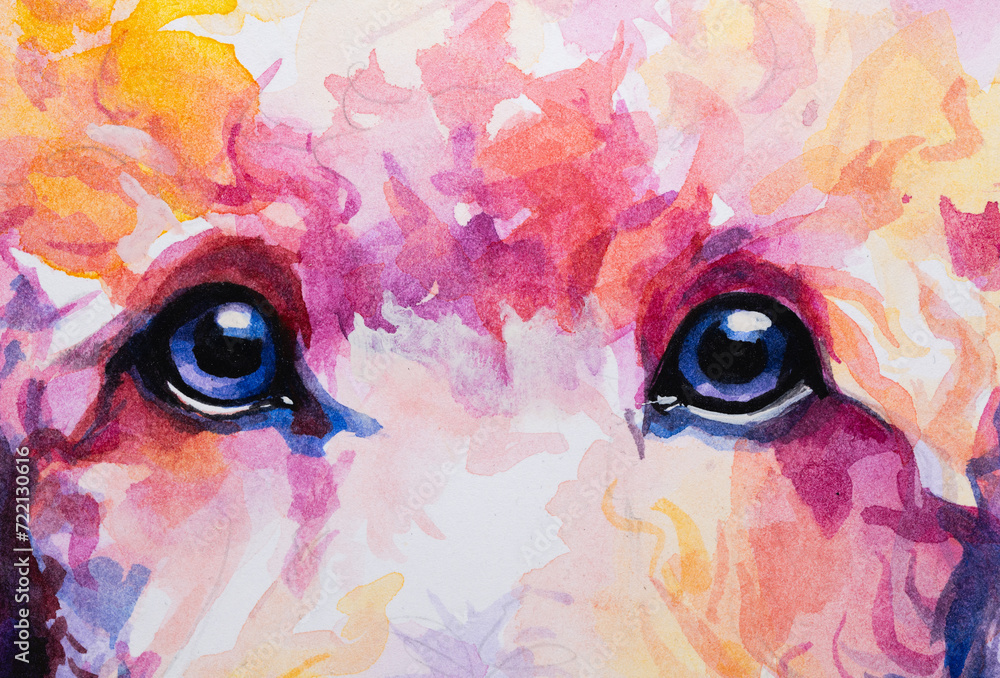 Poodle ainted in watercolor on white background in a realistic manner, colorful, rainbow.